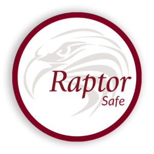 Raptor-Safe - Functional Safety Development Tools